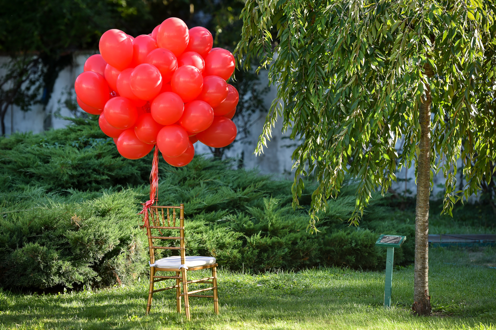 Red,Balloons,,Symbol,Of,World,Duchenne,Awareness,Day,,Are,Released Red,Balloons,,Symbol,Of,World,Duchenne,Awareness,Day,,Are,Released